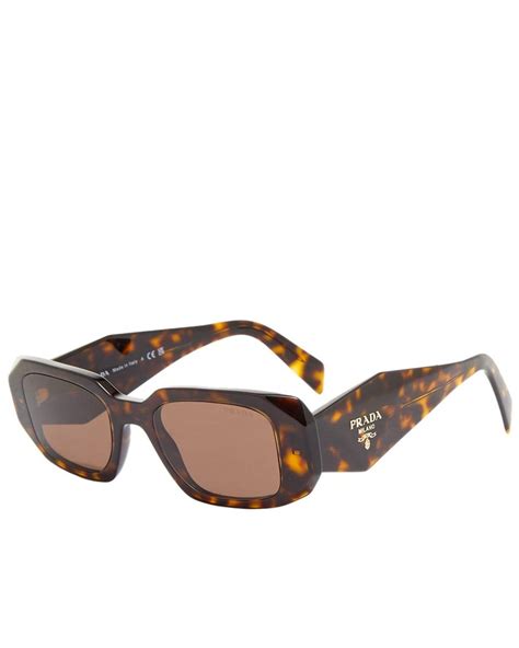 prada sunglasses 17ws tortoise|prada sunglasses clearance.